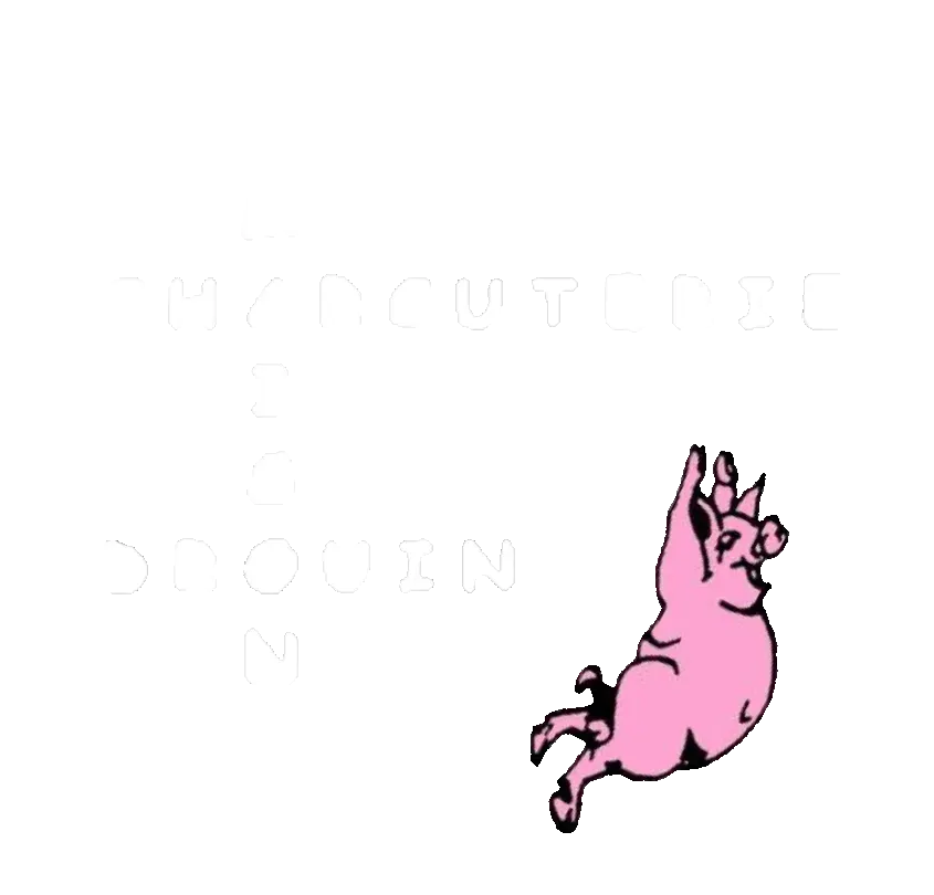 logo Maison Drouin blanc